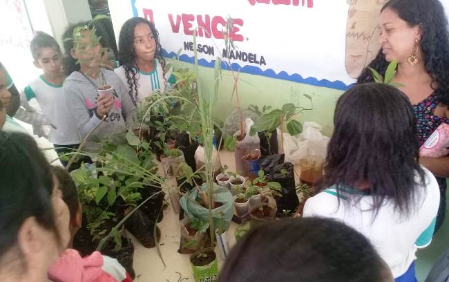 Projeto foi desenvolvido ao longo do ano na escola, com diversas atividades de preservação e conscientização ambiental. Foto: Arquivo da Escola